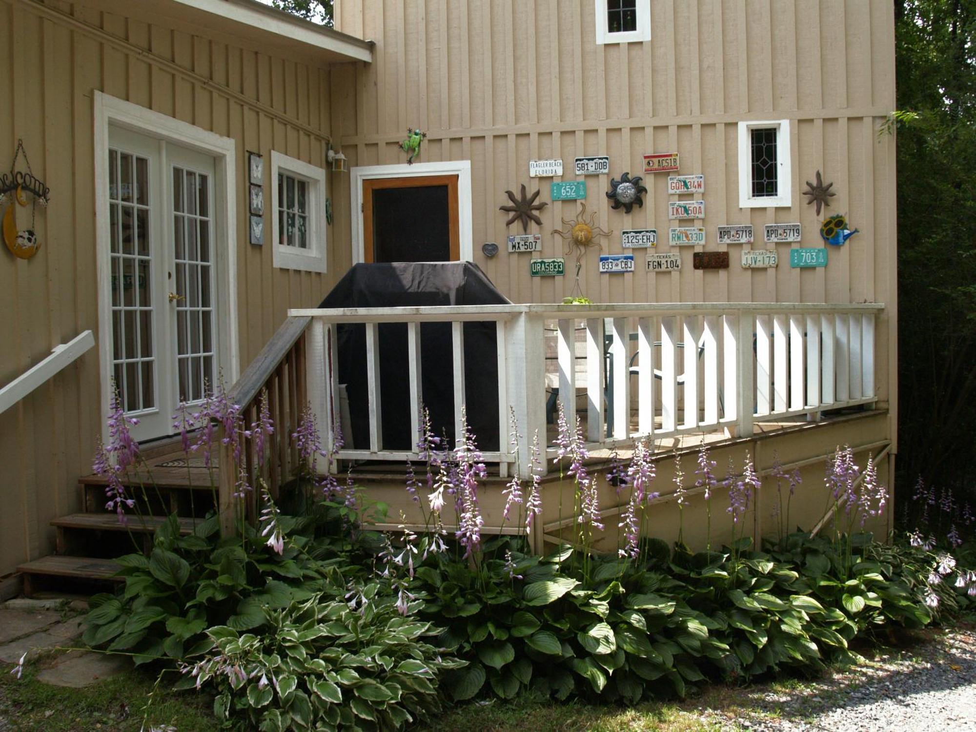 Henson Cove Place Bed And Breakfast W/Cabin Хаяуасий Екстериор снимка