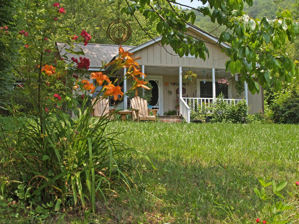 Henson Cove Place Bed And Breakfast W/Cabin Хаяуасий Екстериор снимка